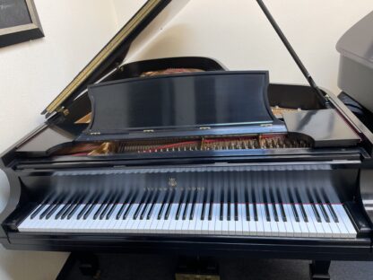 Steinway Model B Semi-Concert Grand - Pre-Owned