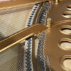 Steinway Model B Semi-Concert Grand Piano - Restored - Image 3