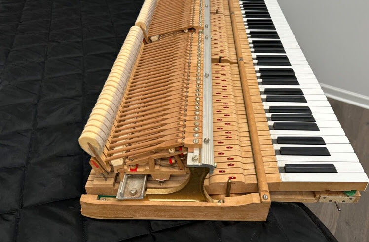 Yamaha 5' 3" Grand Piano - Used - Image 3