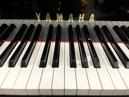 Yamaha Professional Upright Piano - Image 4