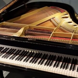 Open grand piano with visible strings and keys