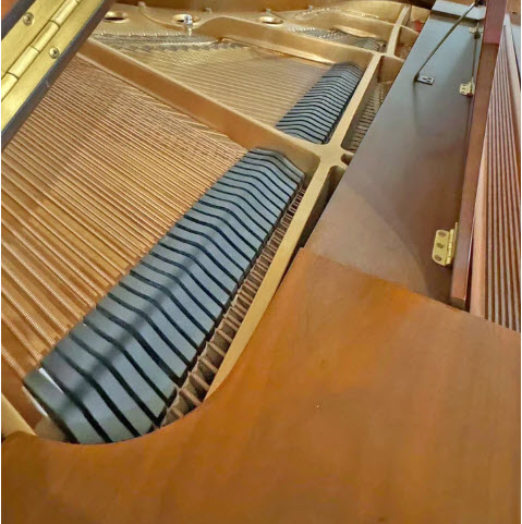 Close-up of Steinway piano strings and hammers inside.