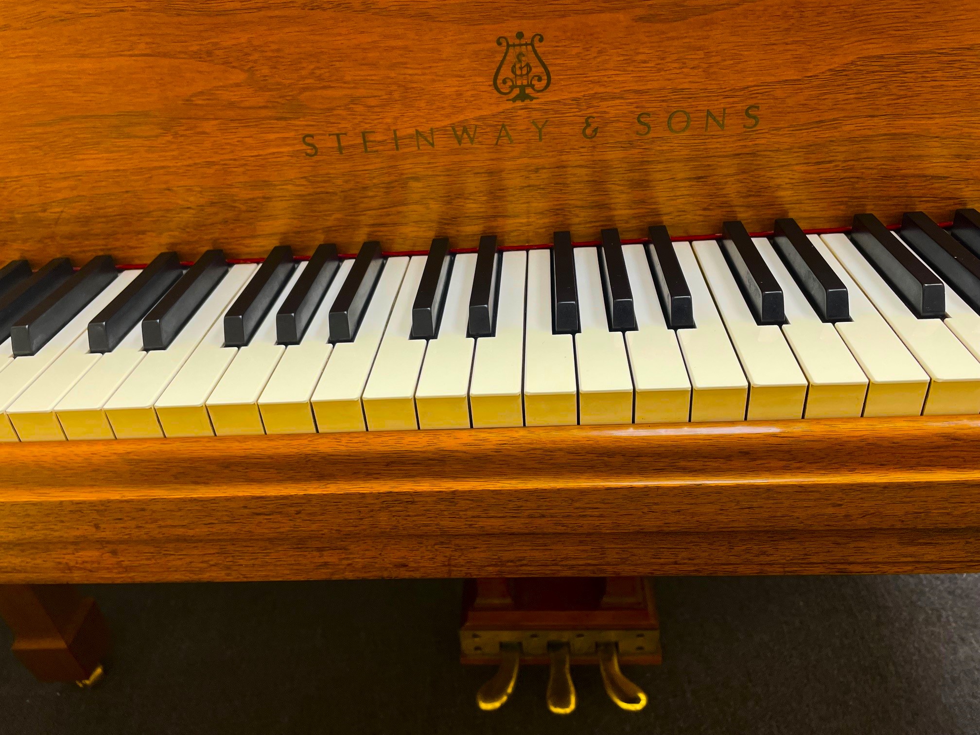 Close-up of Steinway grand piano keys.