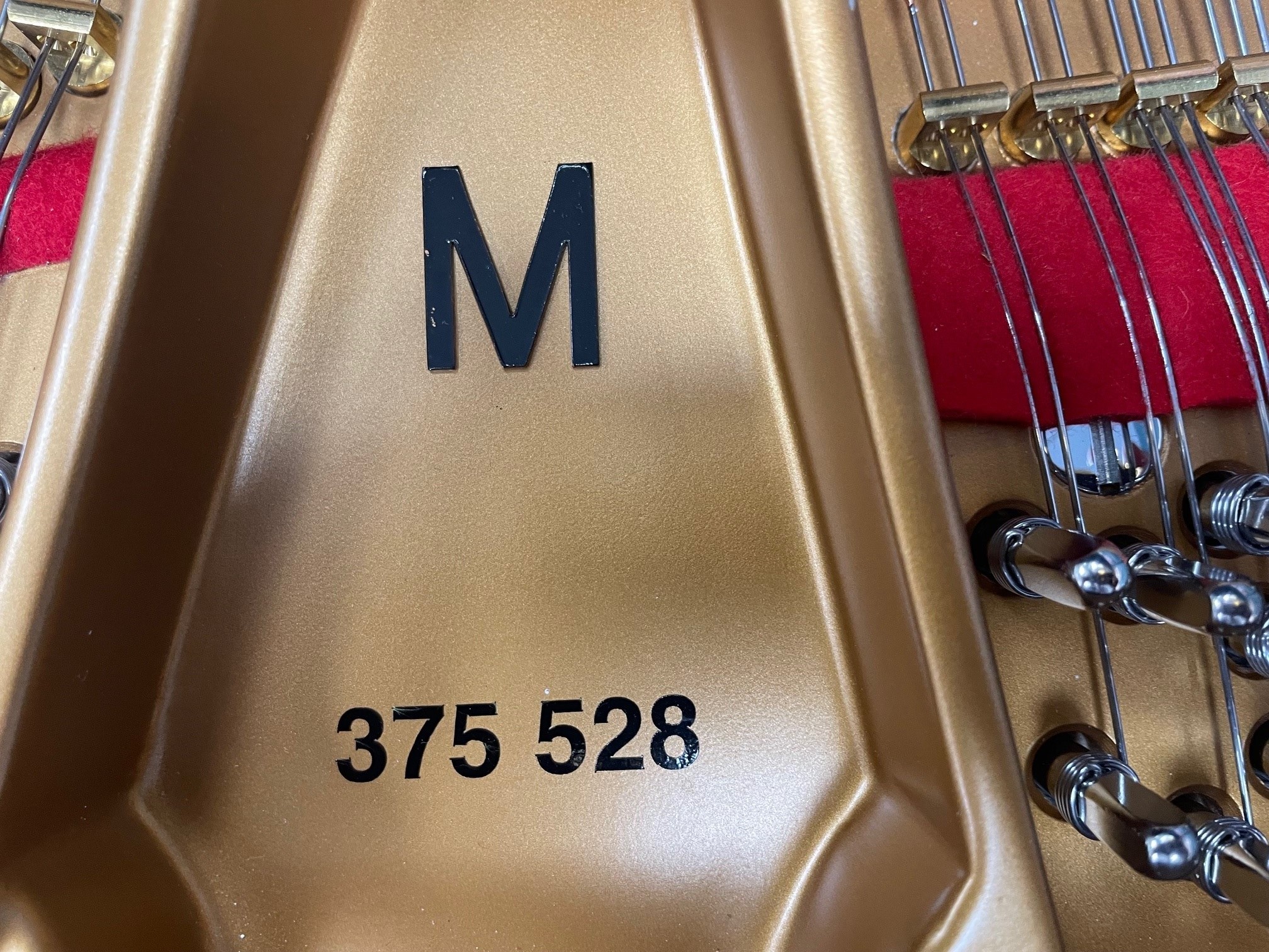 Steinway & Sons Model M Grand Piano - Image 2