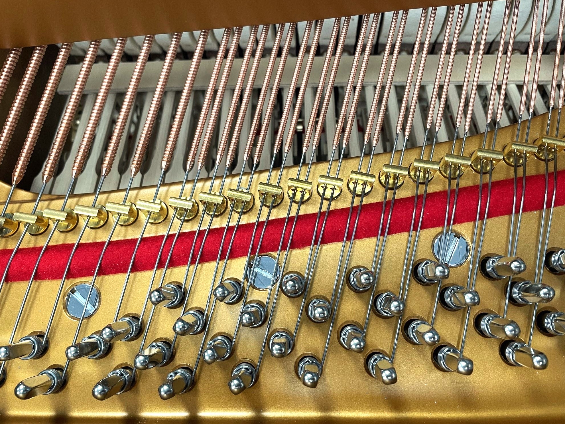 Steinway & Sons Model M Grand Piano - Image 5